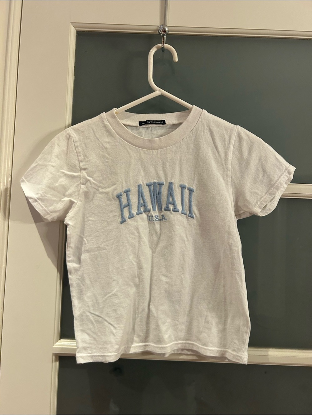Brandy Melville White Tee with Light Blue Hawaii Appliqué